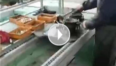 辰力手拉葫蘆車間，手拉葫蘆流水作業(yè)中